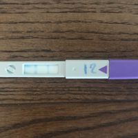 Test ovulazione clearblue viola - 1