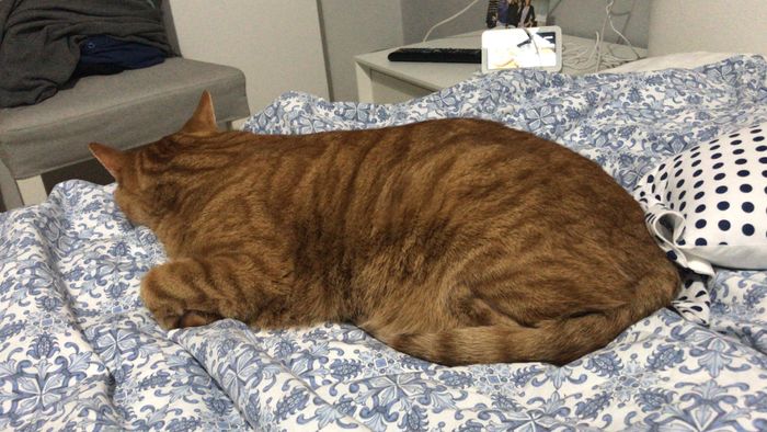 Future mamme novembre 2020 🌞🍁🌷♾ - 1