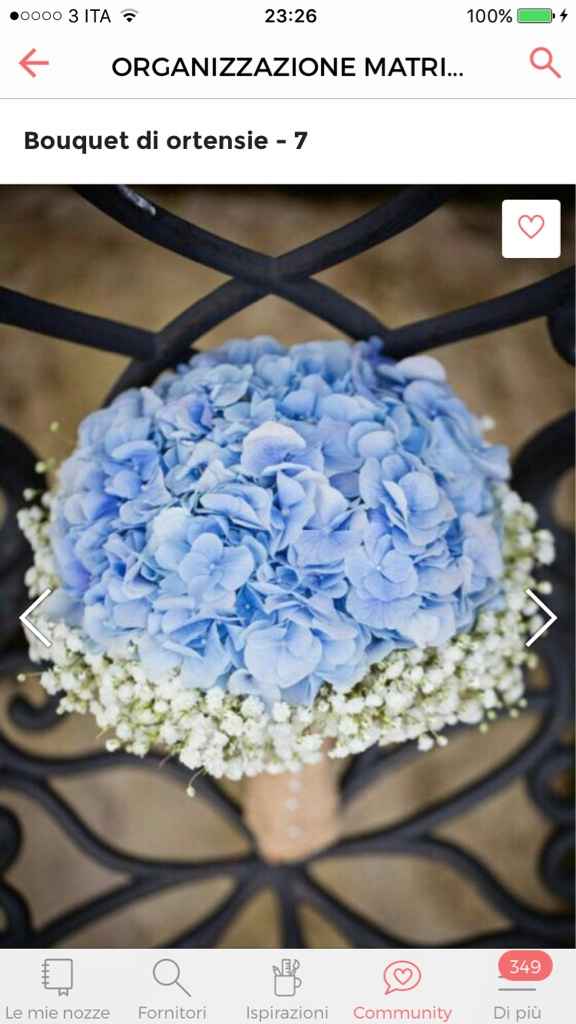 I vostri bouquet? :-) - 1