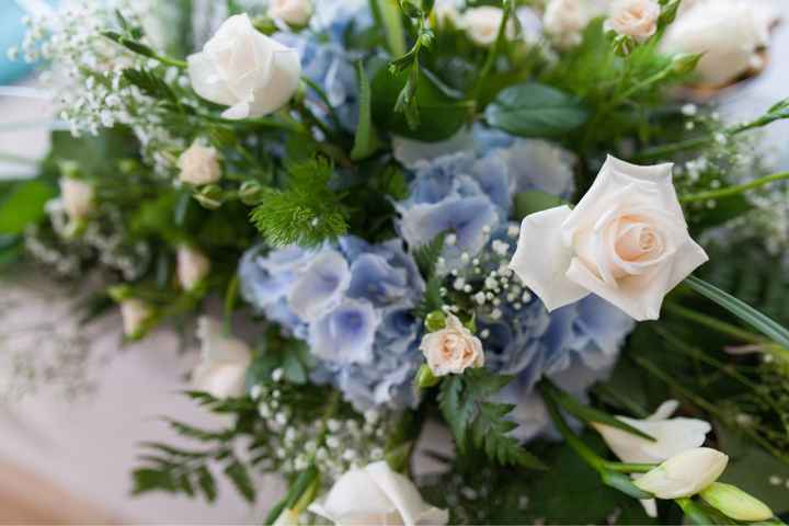 Le vostre nozze? - 24