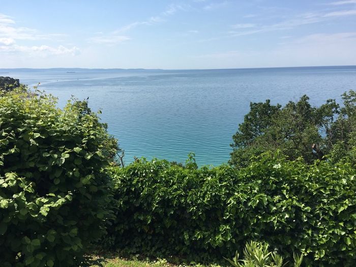 Tornata dalla prova menù!!! - 1