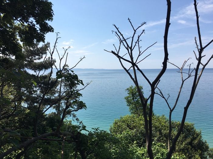 Hotel pesek trieste qualcuno l'ha provato? - 3