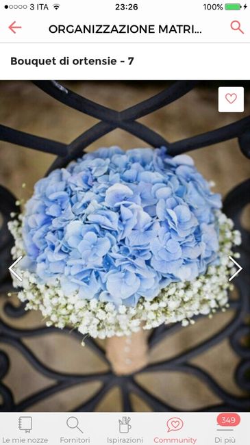 I vostri bouquet? :-) - 1