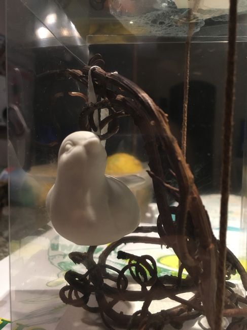 Le vostre nozze? - 2