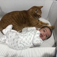 Future mamme novembre 2020 🌞🍁🌷♾ - 1