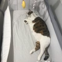 Future mamme novembre 2020 🌞🍁🌷♾ - 1