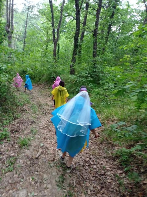 Addio al nubilato ✔️ - 5