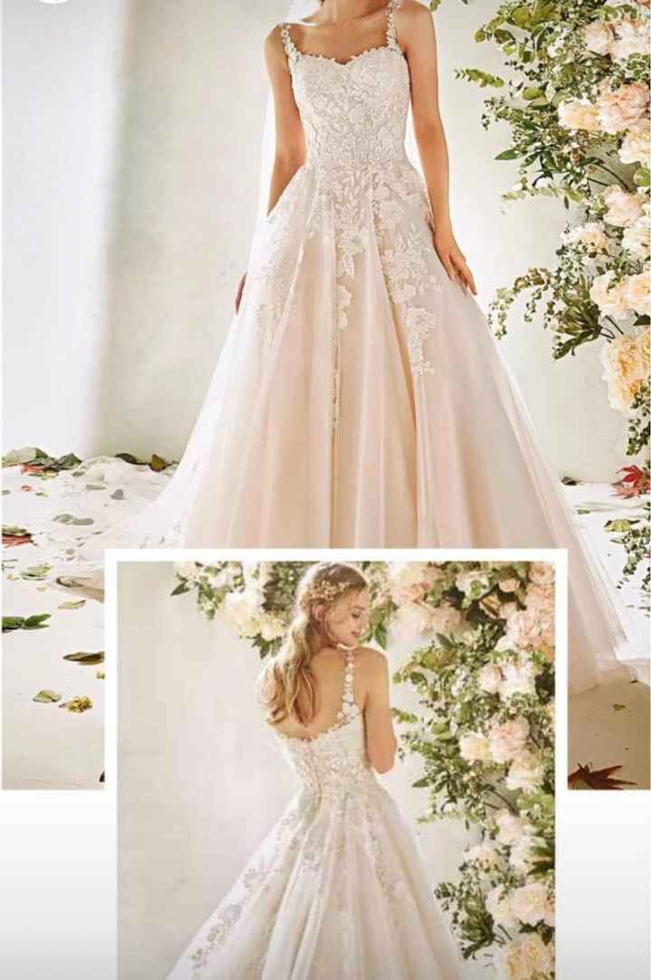 Stilista dell’abito - 1