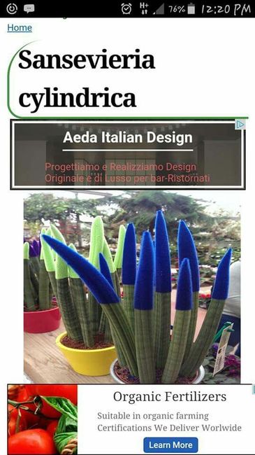 Vi piace questa bomboniera? - 2