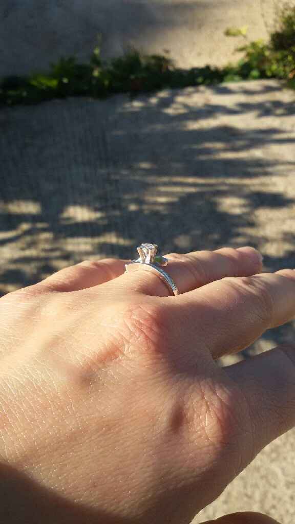 Curiosità: l'anello della proposta :-) - 1