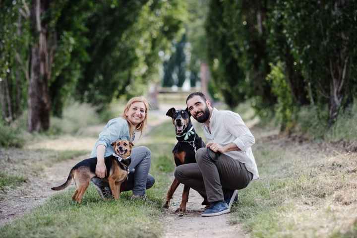 Il nostro pelosetto ci ha lasciati - 1