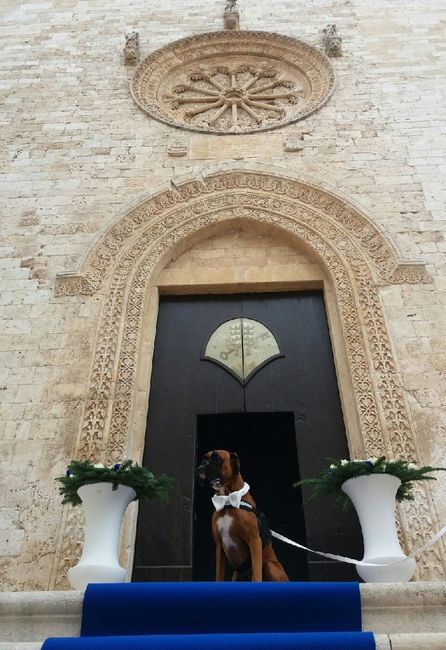  Tate per la nostra bimba pelosa 😍 - 6