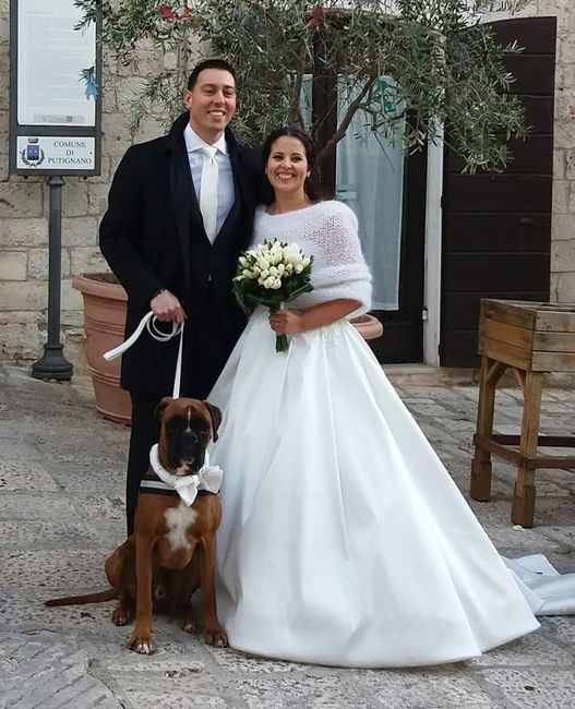  Tate per la nostra bimba pelosa 😍 - 8