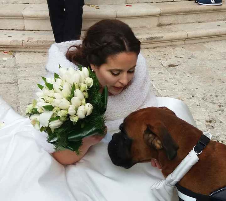  Tate per la nostra bimba pelosa 😍 - 5