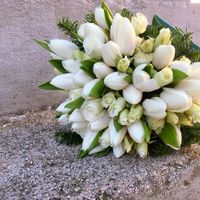Fiori - 1