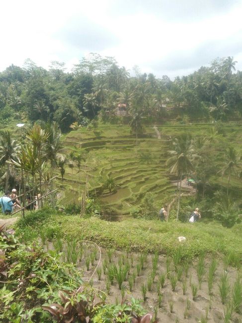 Bali, Indonesia ❤️ - 2