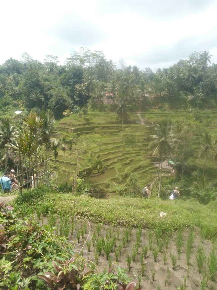 Bali, Indonesia ❤️ - 2