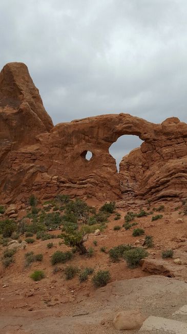 Tornati da un magnifico viaggio - 3