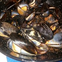 Ieri sera, prova menú (post lungo+foto) - 3