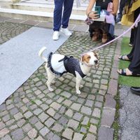 09.09.2020❤ Finalmente sposi! - 5