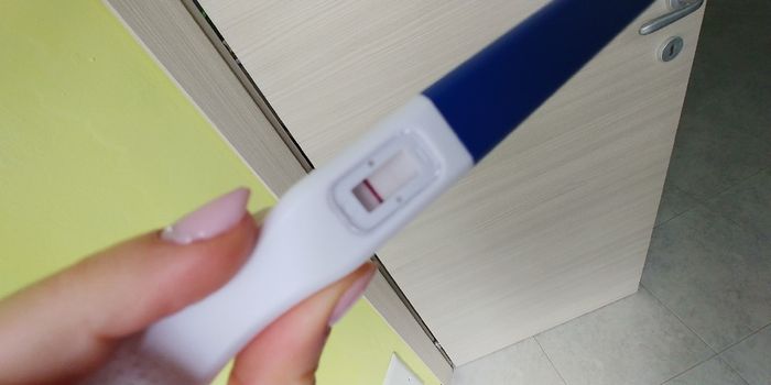 Chi non le aspetta per novembre 2019 3