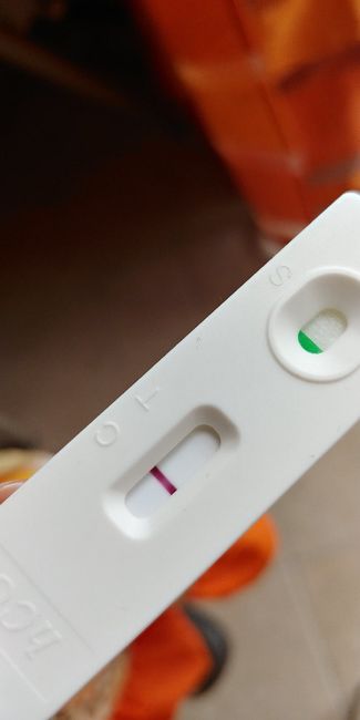 Aborto e test di gravidanza 1