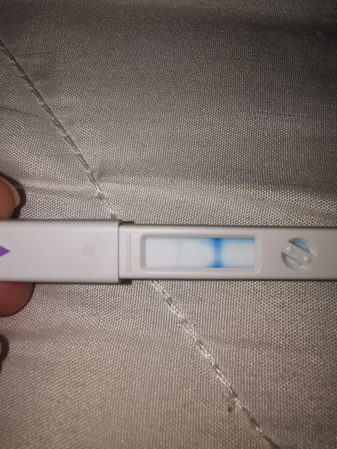 Chi non le aspetta per Aprile 2020 - 1