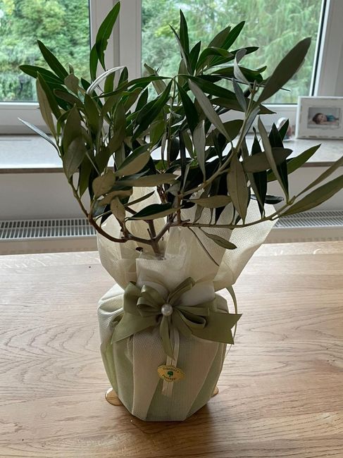 Bomboniere classiche o qualcosa di utile? - 2