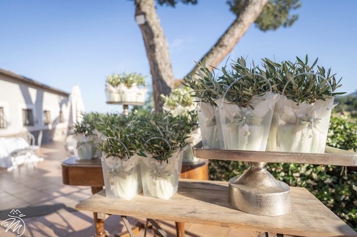 Cercasi Bomboniere Green Roma 1