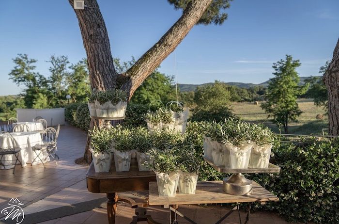 Cercasi Bomboniere Green Roma 2