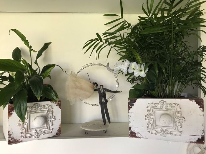 Cake topper in metallo: lo aggiungi al carrello? 2