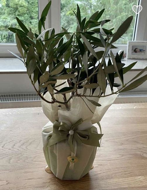 Foto bomboniere! - 2