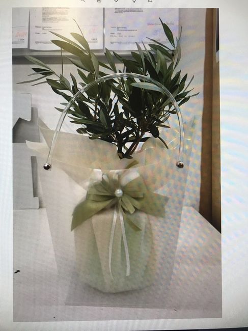 Scelta bomboniere - 1