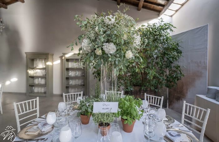 Qualcuno ha scelto il tema erbe aromatiche? 4