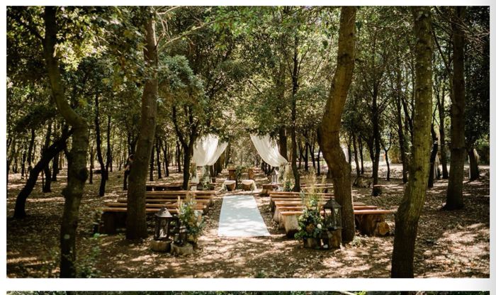 Matrimonio nel bosco nel Lazio: è possibile? - 3
