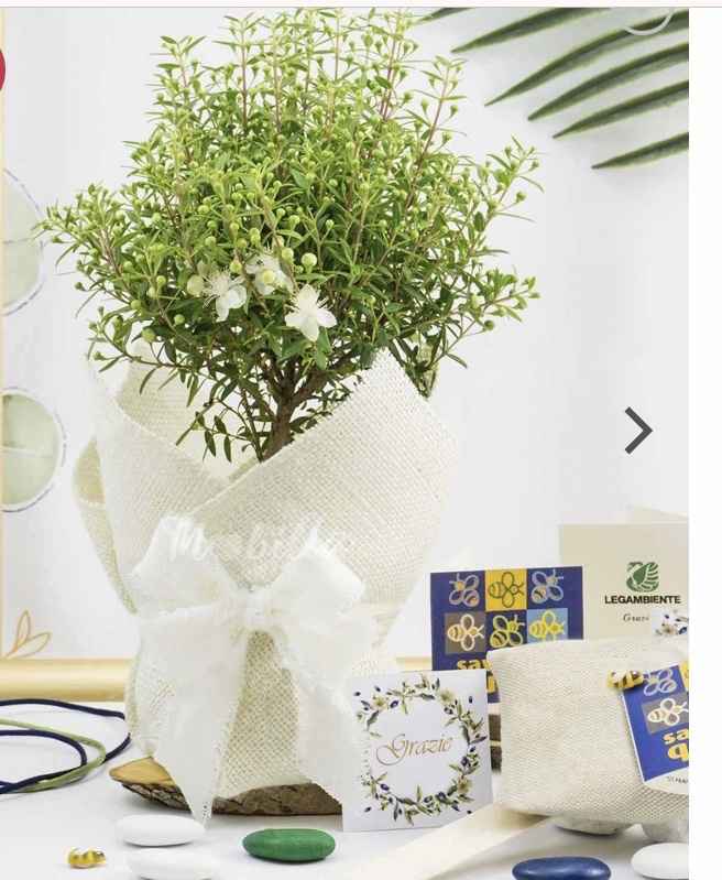 Bomboniere tema felicitá - 1