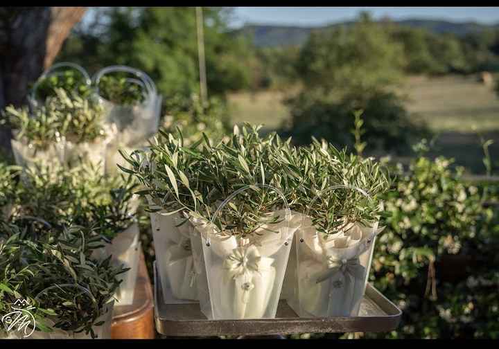 Idee confezionamento ulivo come bomboniera - 1
