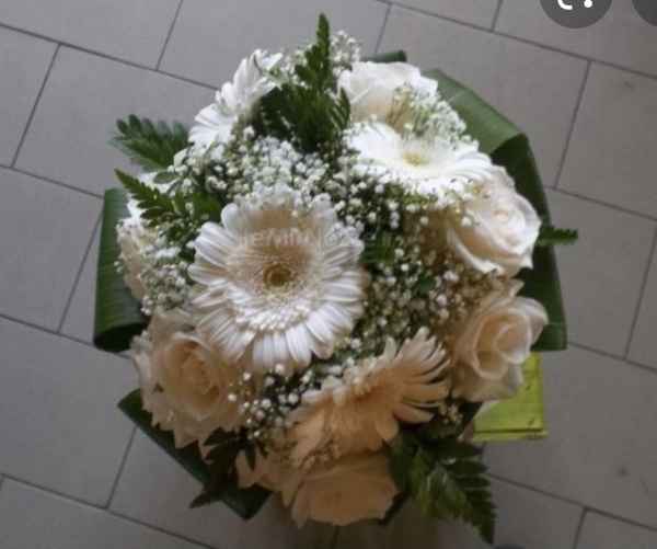 Bouquet - parere - 3