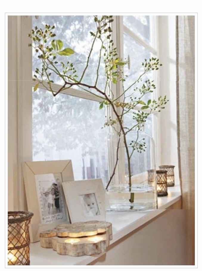 Buongiorno consigli su casa - 1