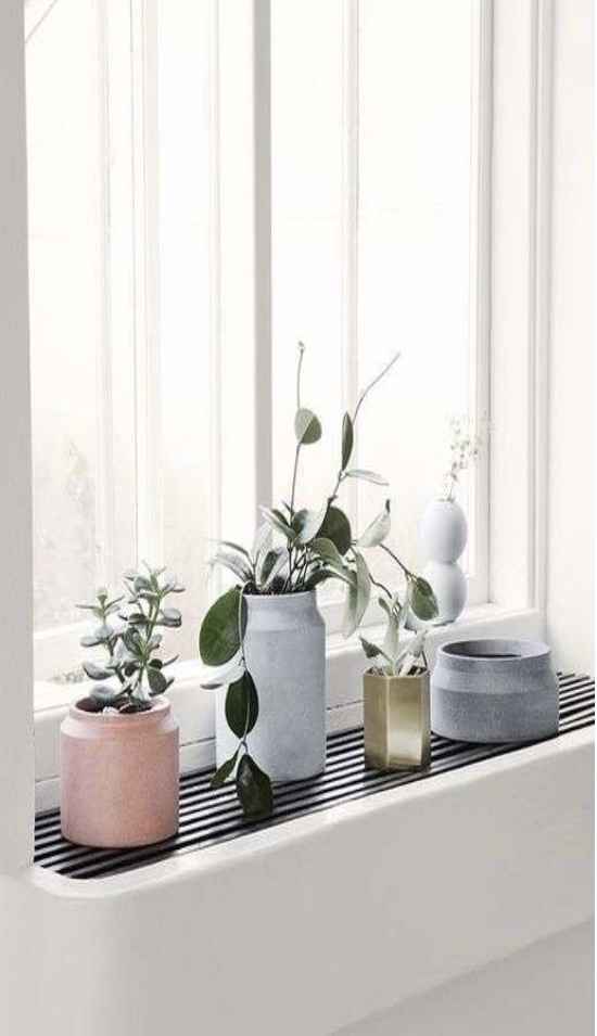 Buongiorno consigli su casa - 5