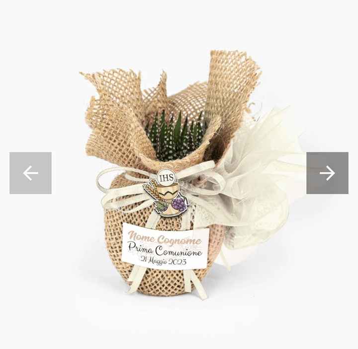 Bomboniere piantine grasse - 1