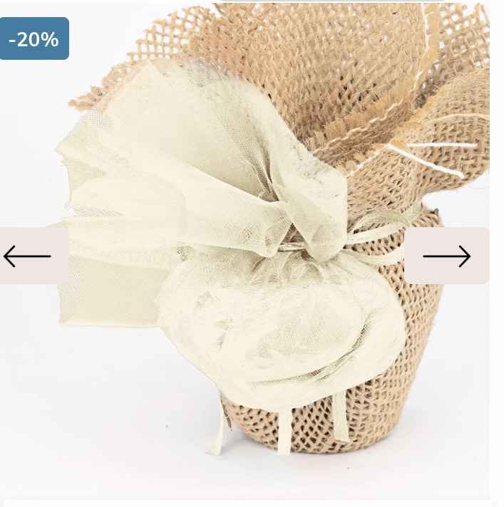 Bomboniere piantine grasse - 2