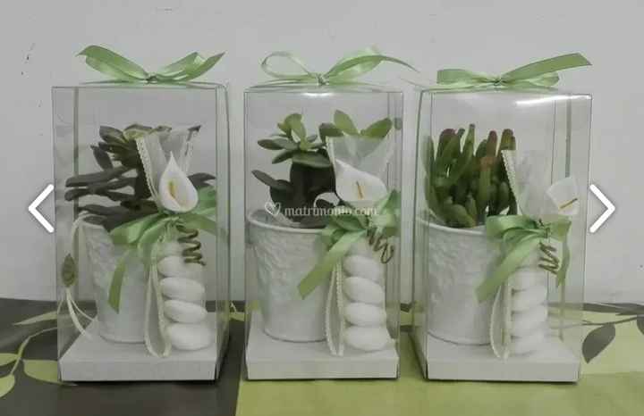 Bomboniere piantine grasse - 4