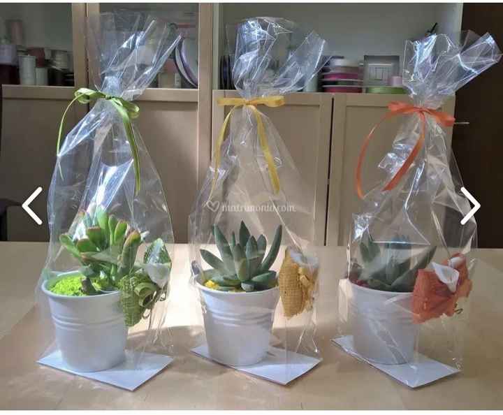 Bomboniere piantine grasse - 6