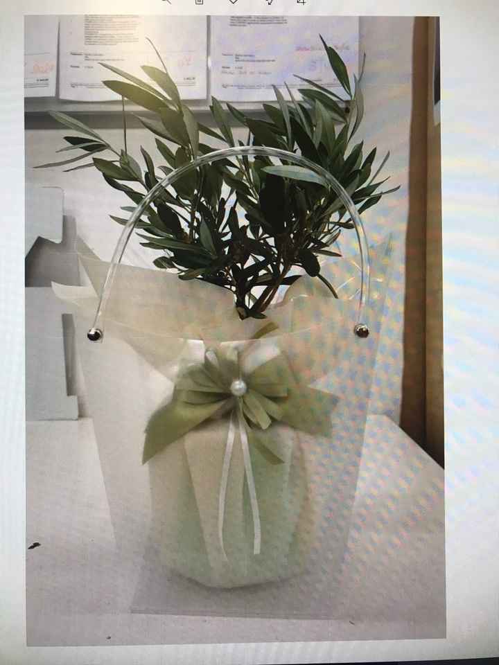 Bomboniere piante - 1