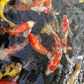 Ambra