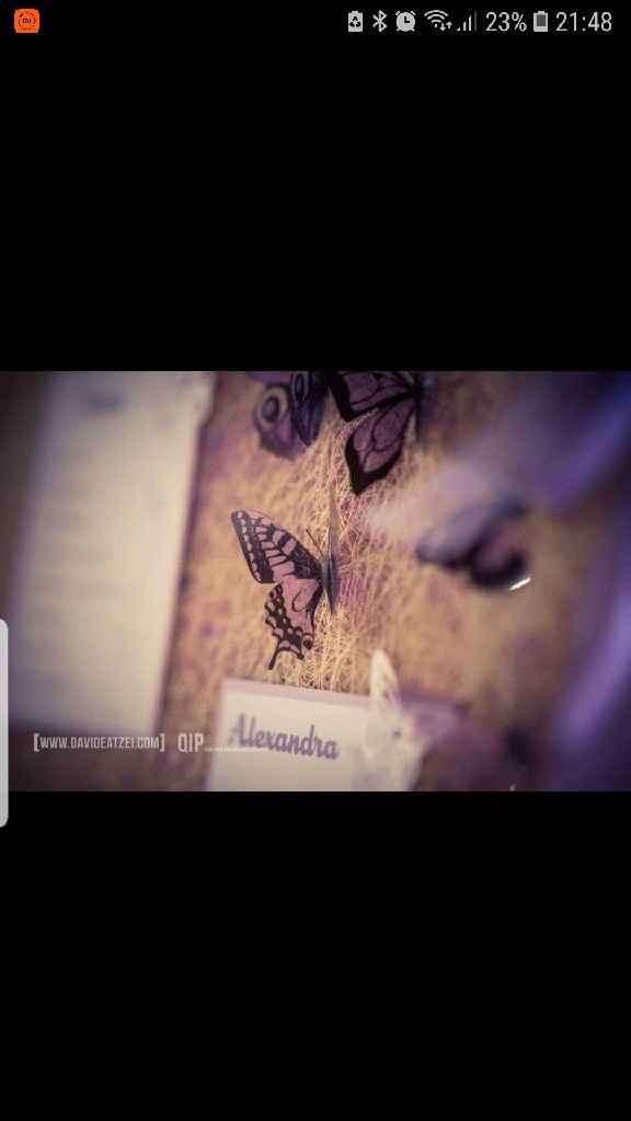 Tema farfalle e cartoni animati - 1