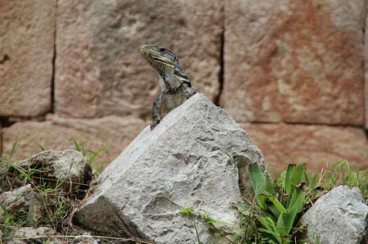Il nostro messico (sett.2017) - 16