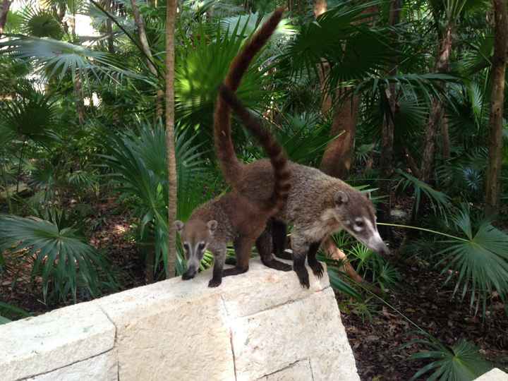 Il nostro messico (parte Ii) sett.2017 - 3