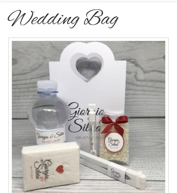 Wedding bag - 2